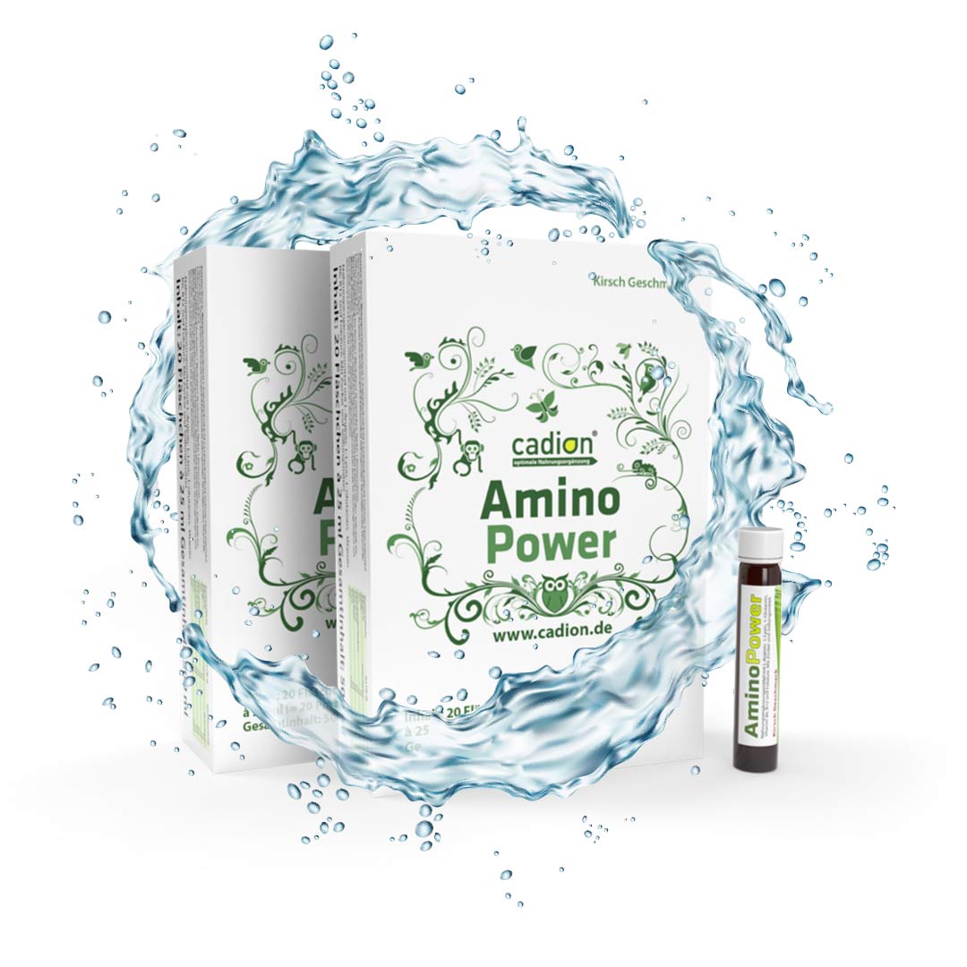 Amino Power Trinkampullen 1+1 Sparpack