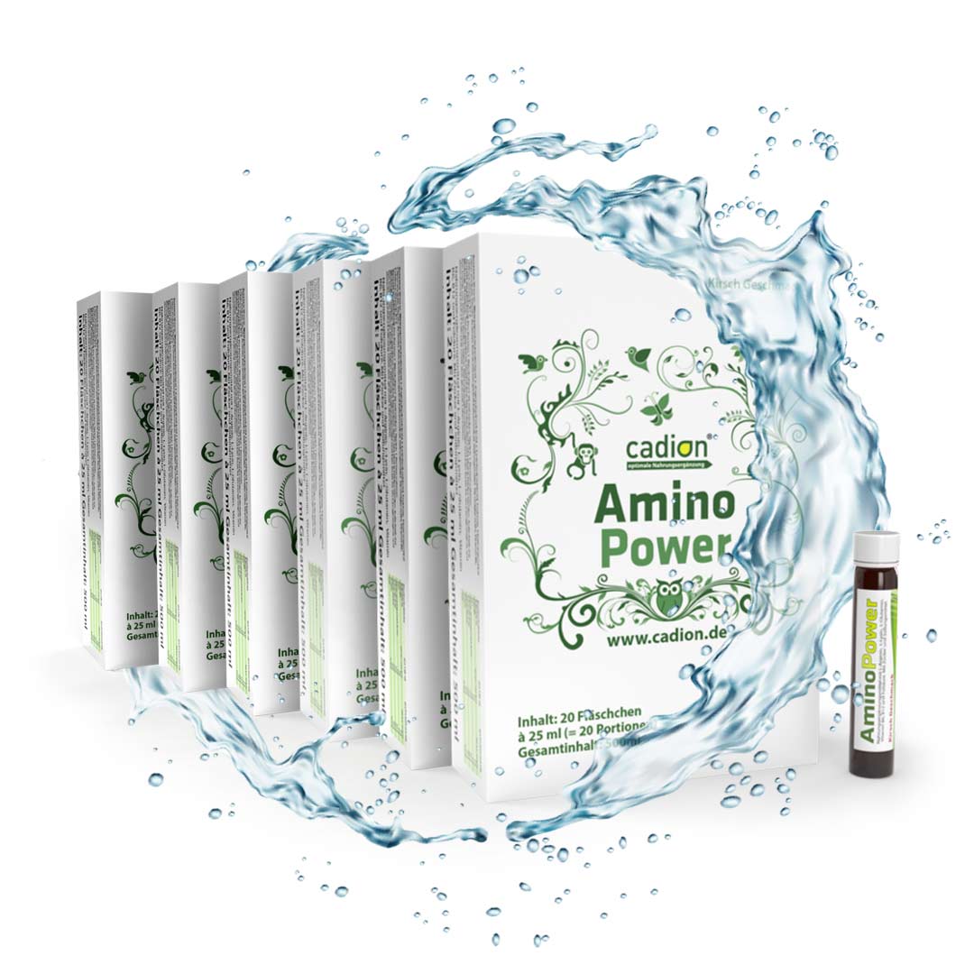 Amino Power Trinkampullen 5+1 Sparpack