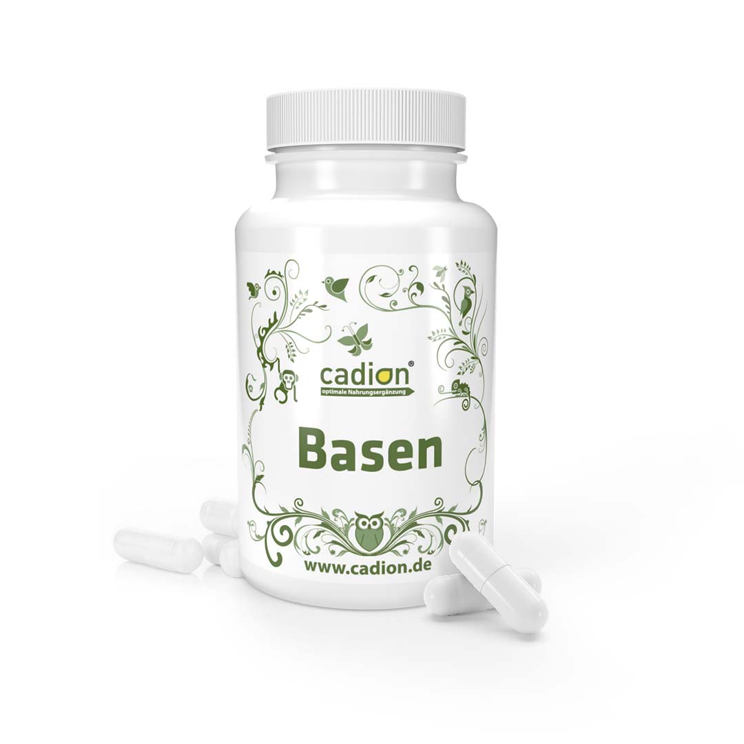 Basenkapseln (90 Stück)