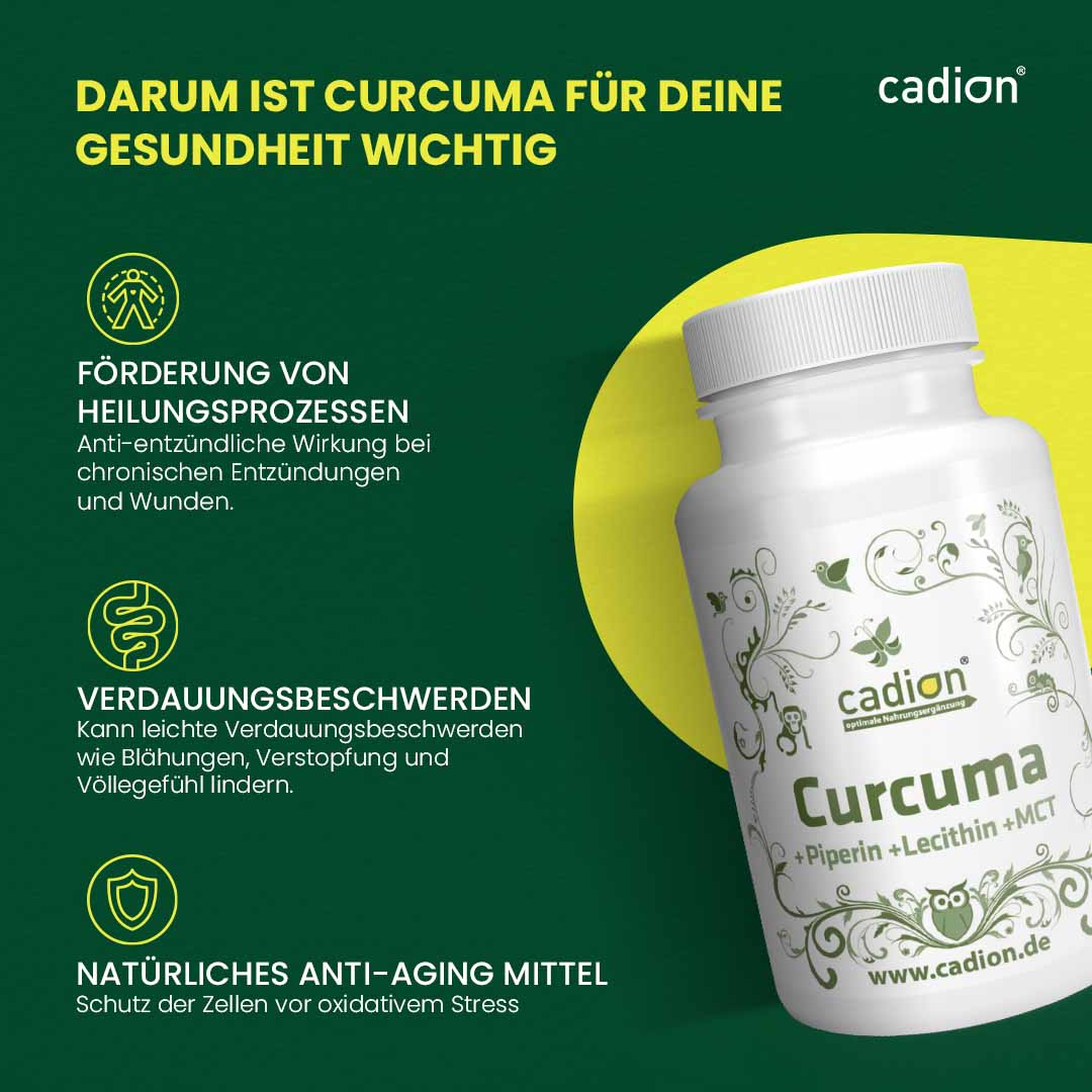 Curcuma (80 Stück)