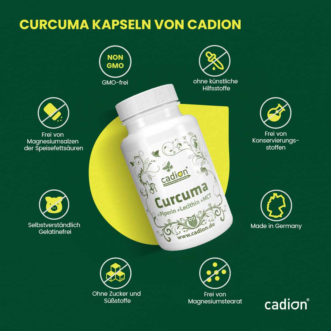 Curcuma (80 Stück)