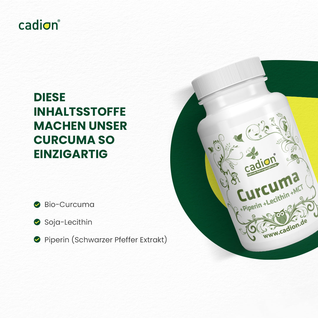 Curcuma (80 Stück)