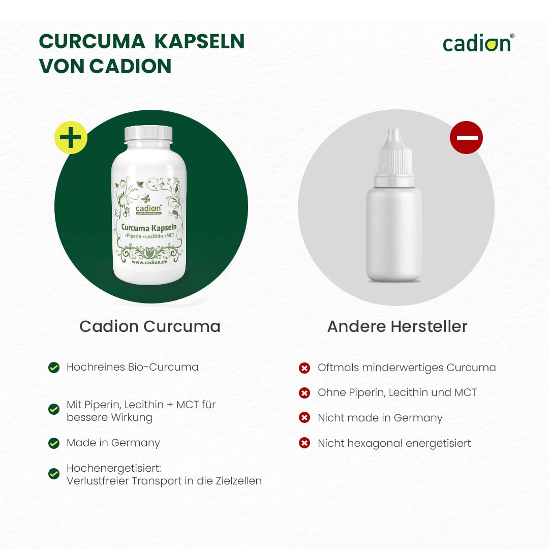Curcuma (300 Stück)