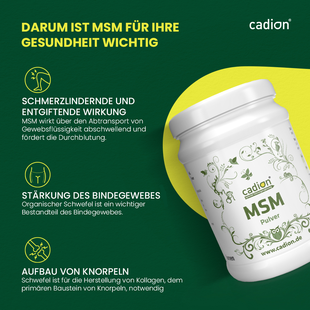 MSM Pulver 1000g
