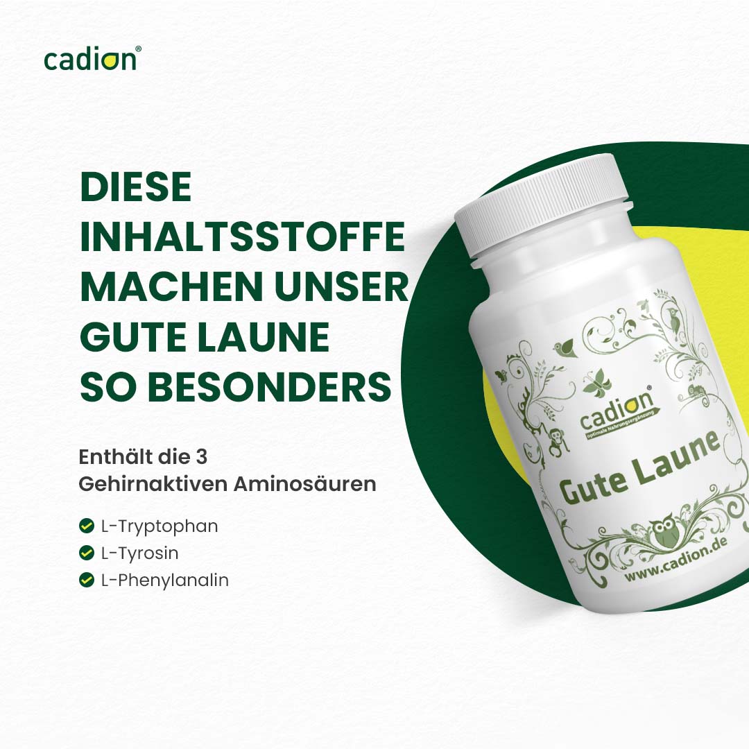 Gute Laune Gehirncomplex