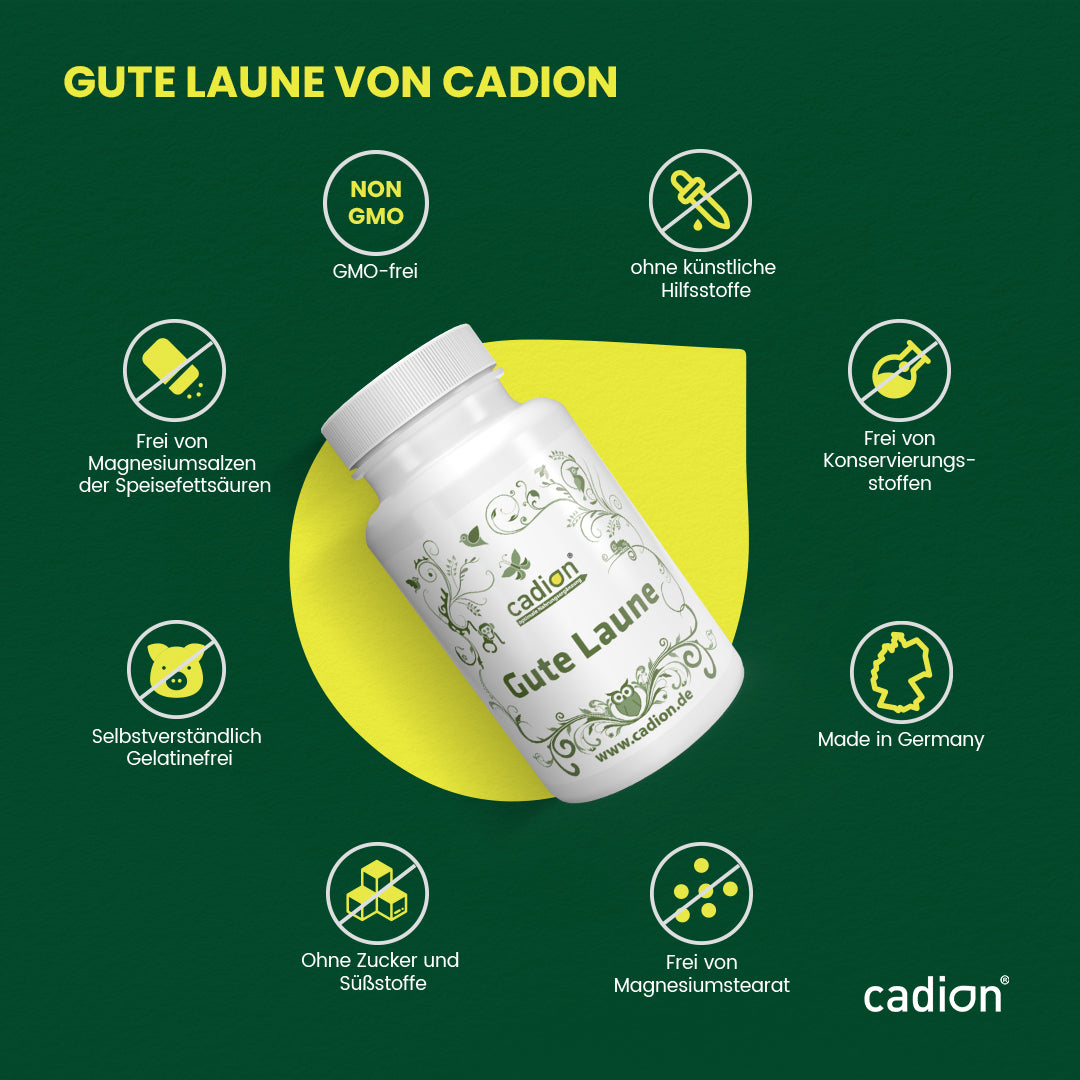 Gute Laune Gehirncomplex