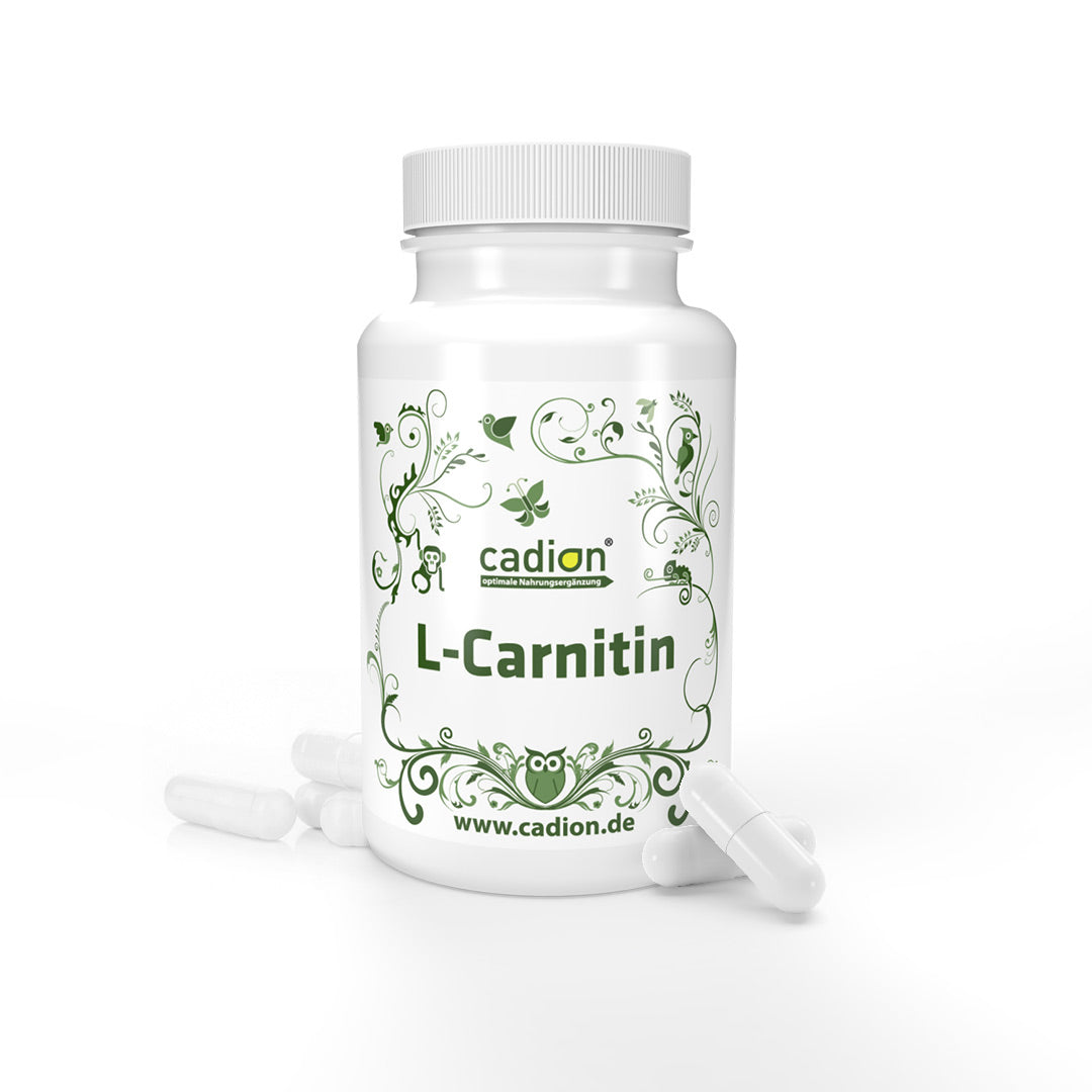 L-Carnitin Base