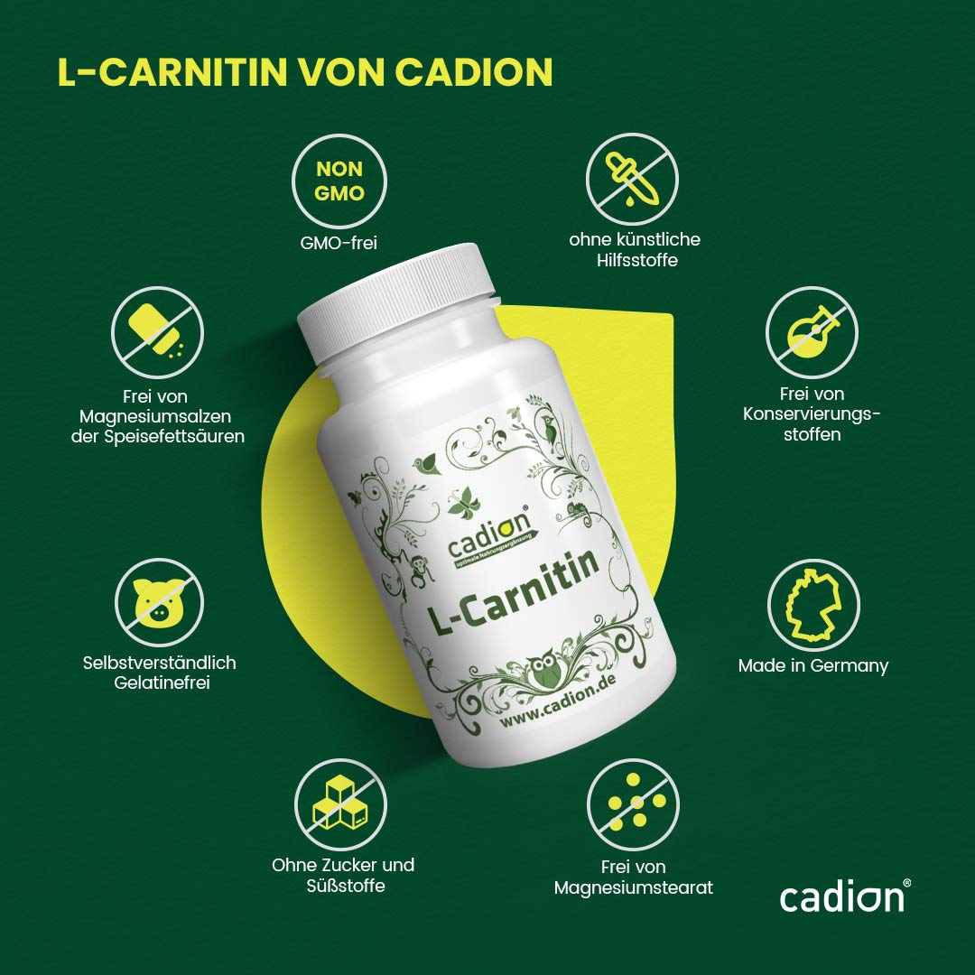 L-Carnitin Base