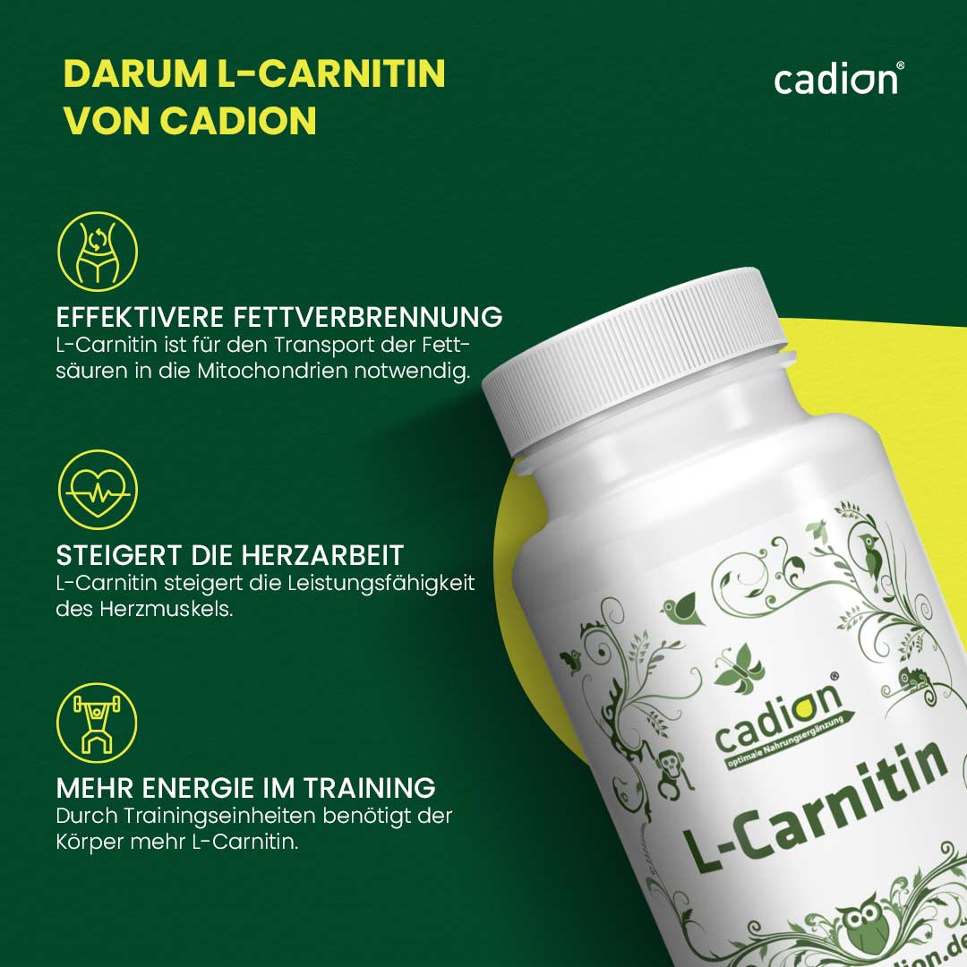 L-Carnitin Base