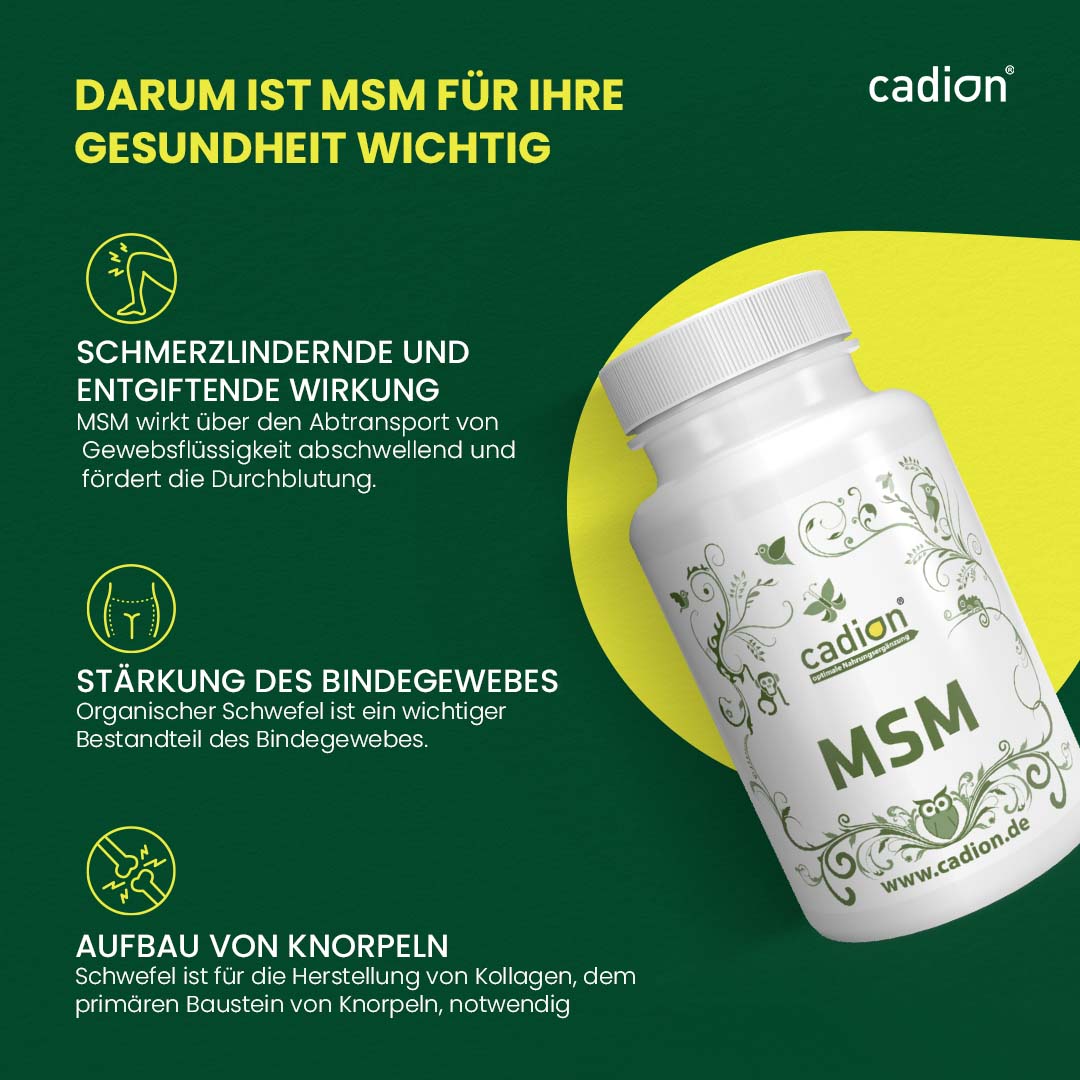 MSM (90 Kapseln)