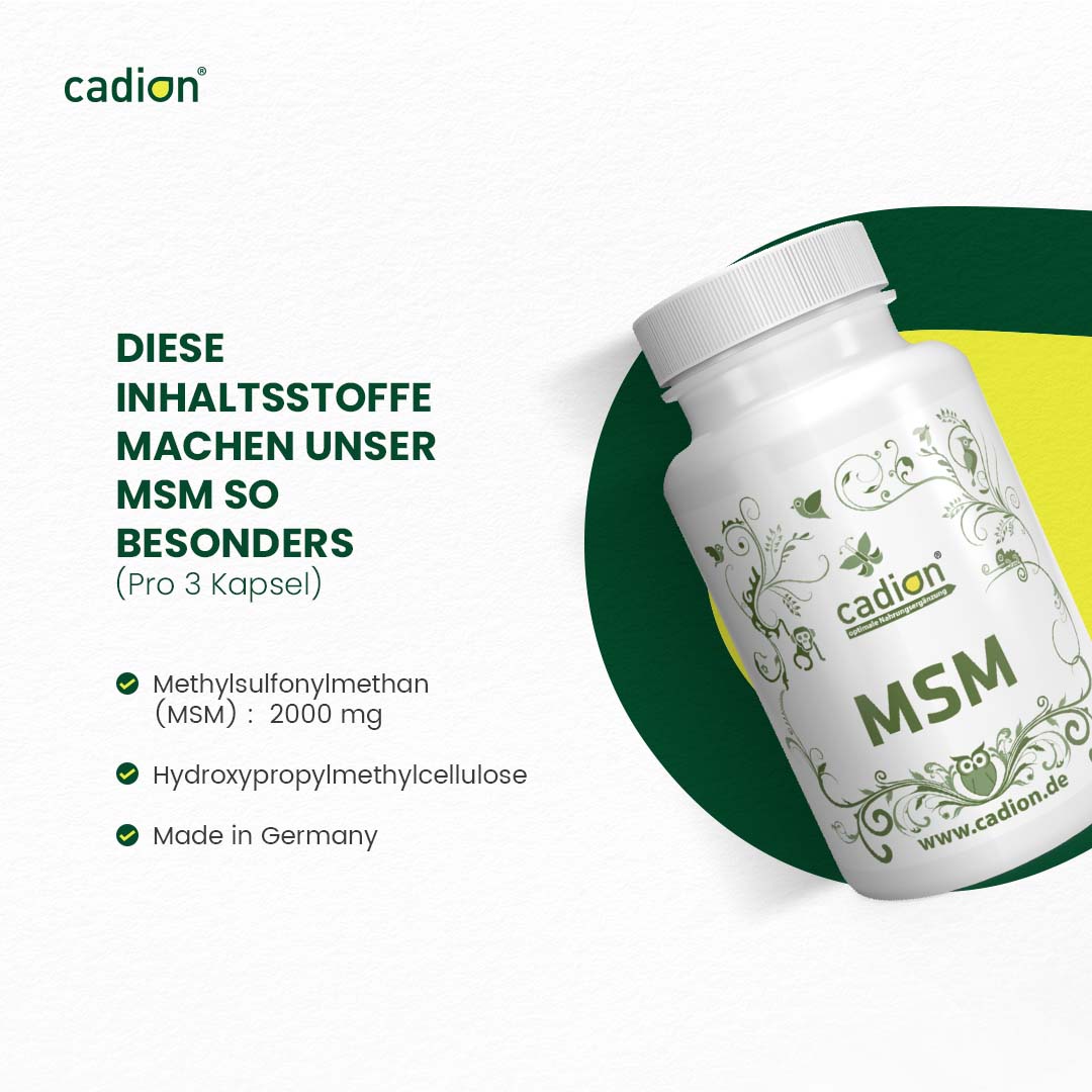 MSM (90 Kapseln)