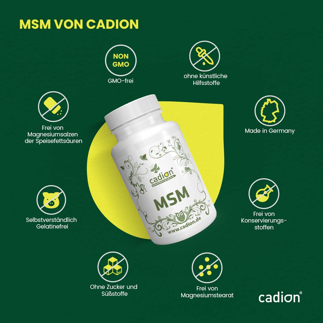 MSM (90 Kapseln)
