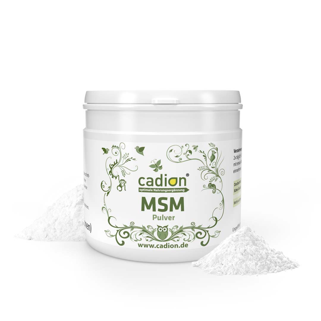 MSM Pulver 250g