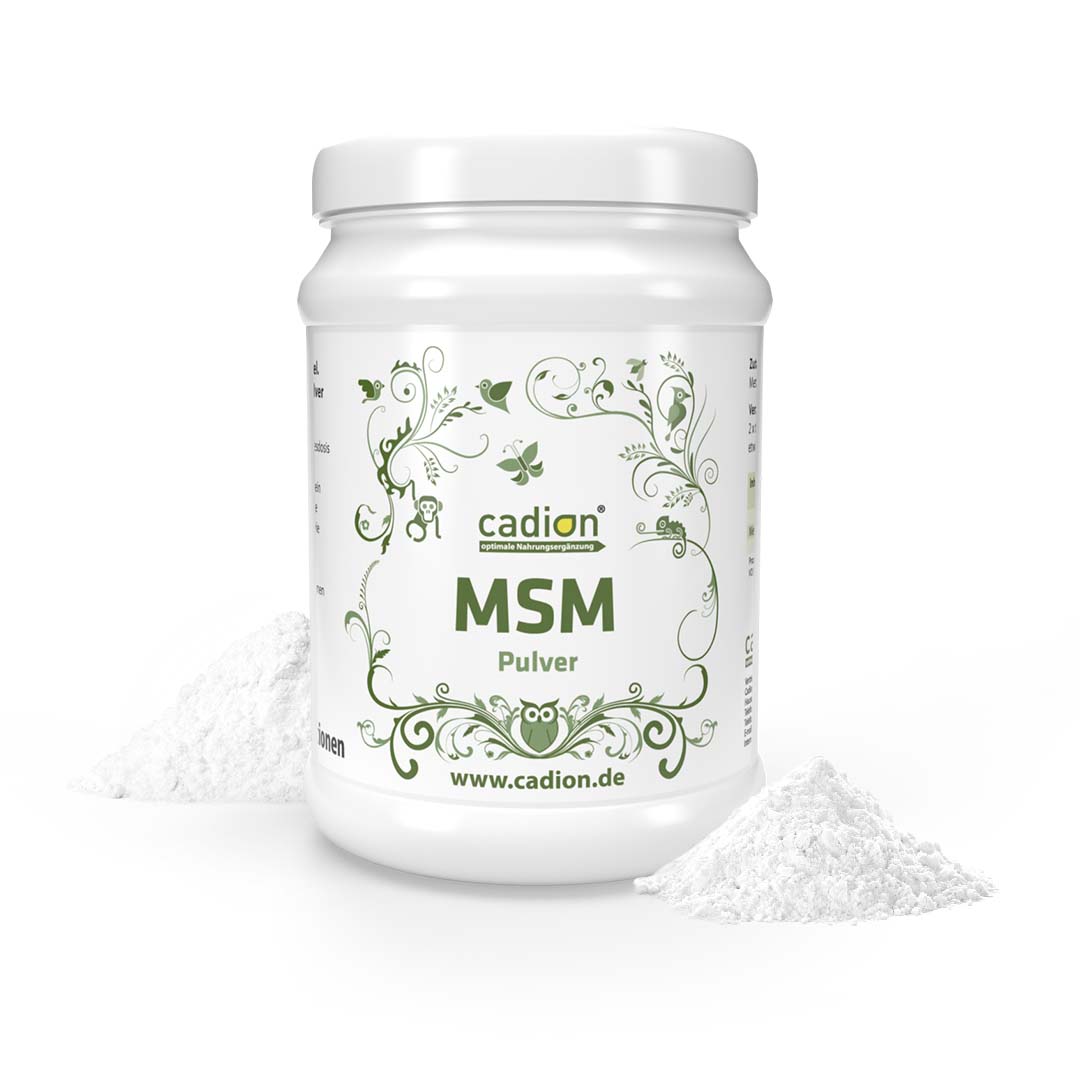 MSM Pulver 1000g