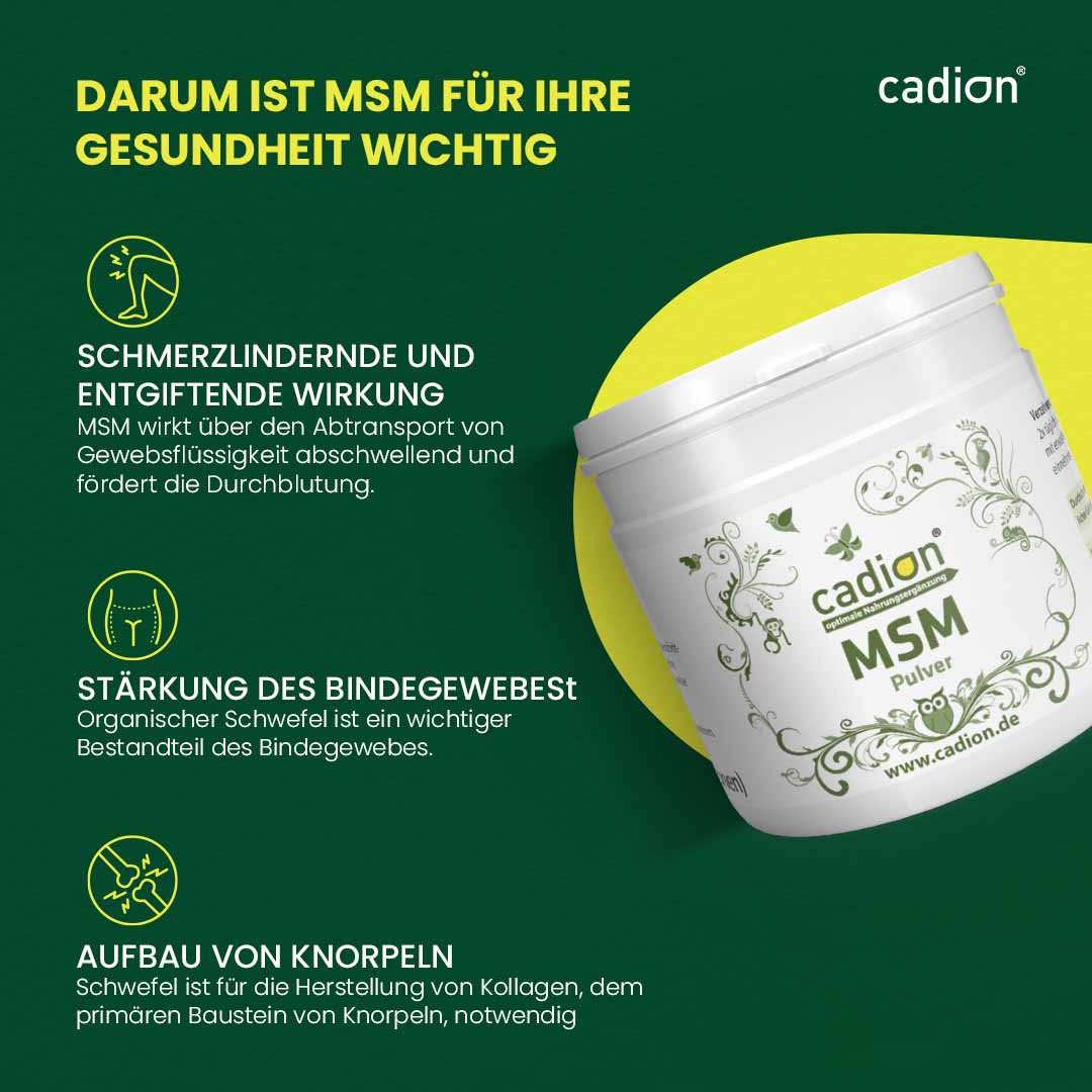 MSM Pulver 250g