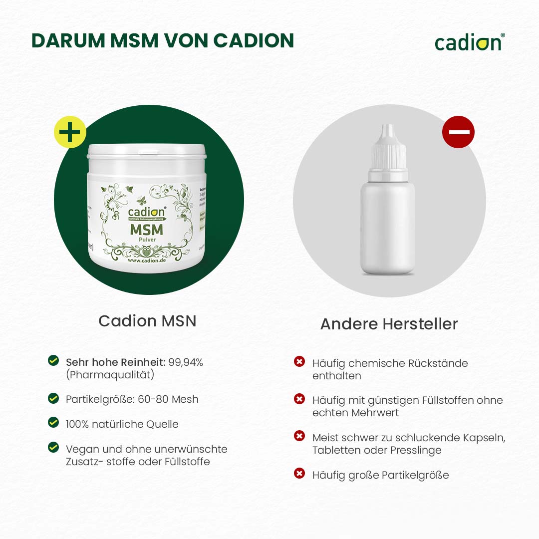 MSM Pulver 250g
