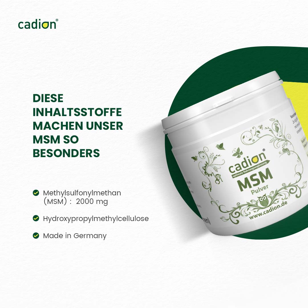MSM Pulver 250g