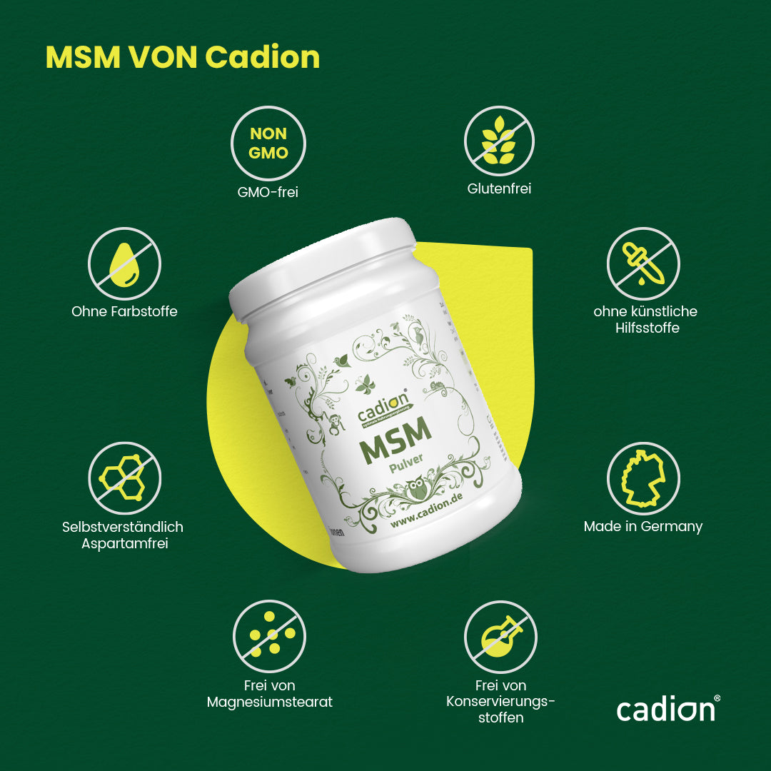 MSM Pulver 1000g