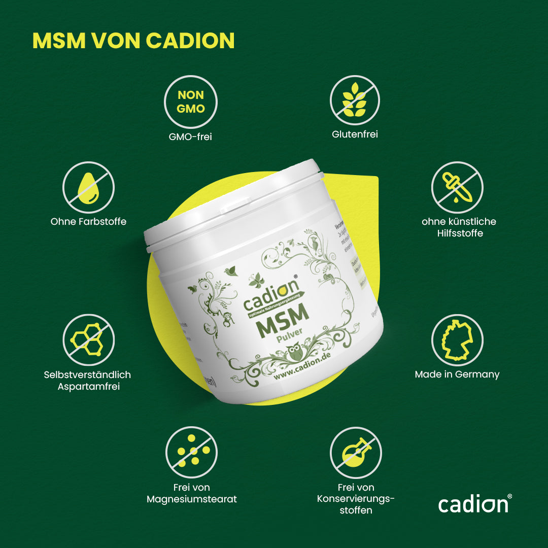 MSM Pulver 250g