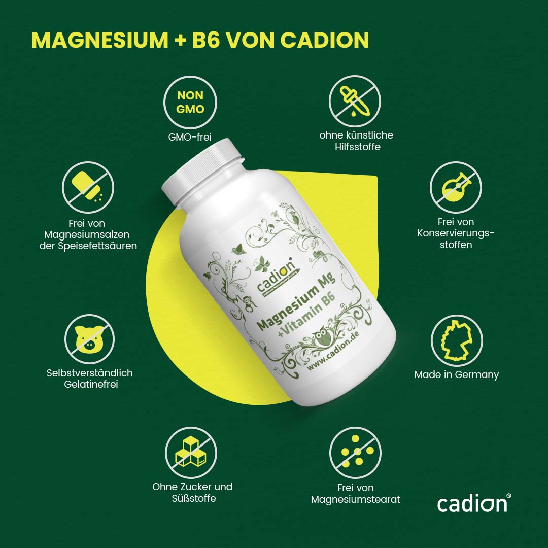 Magnesium + Vitamin B6 (270 Stück)