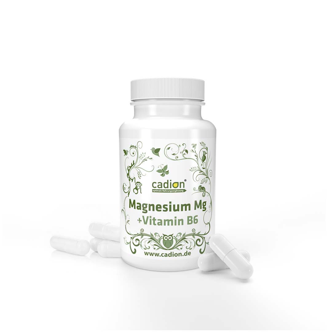 Magnesium + Vitamin B6 (90 Stück)