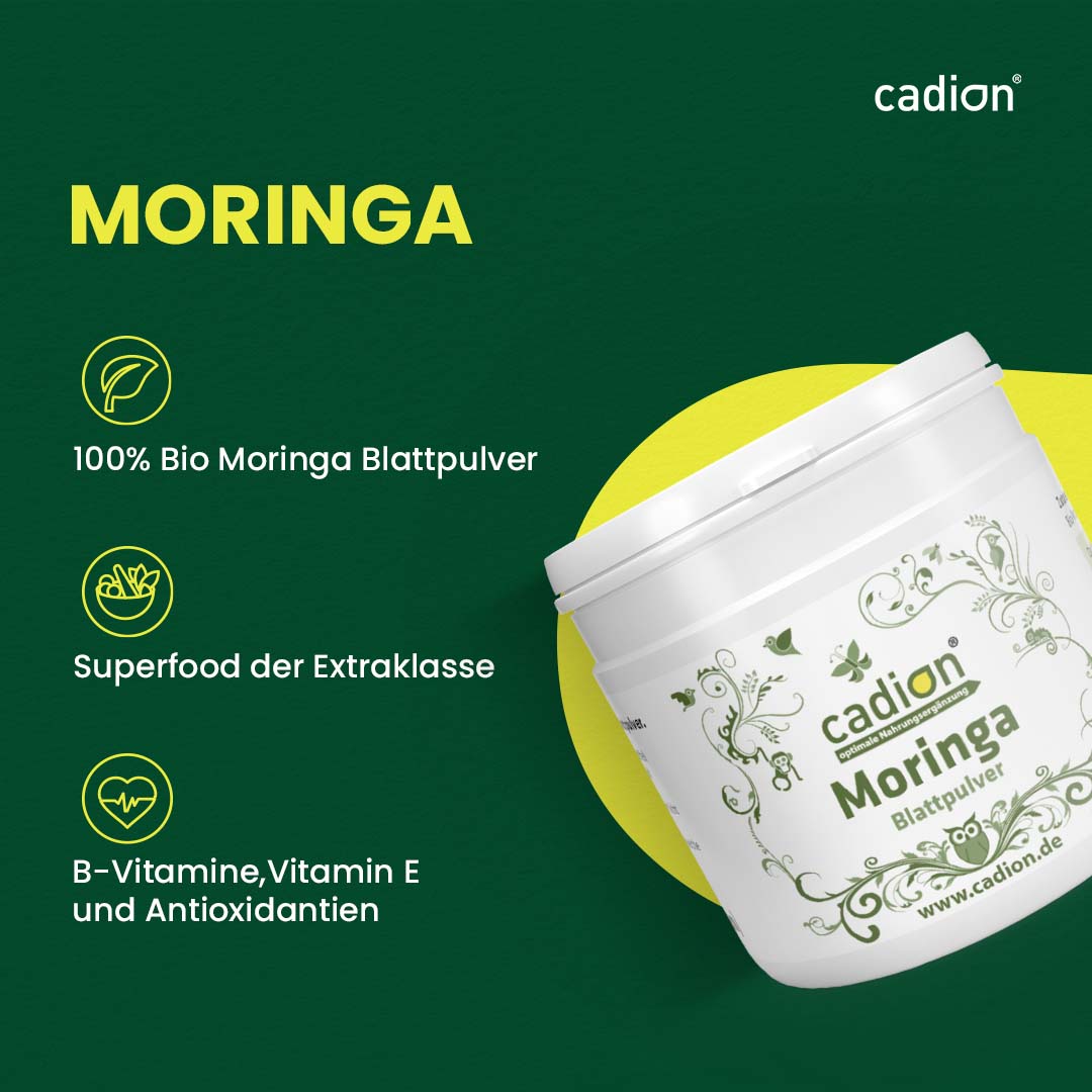 Moringa Blattpulver (Pulver)