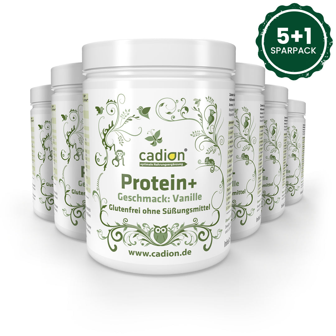 Protein+ Eiweiß Vanille (750g) Sparpack 5+1