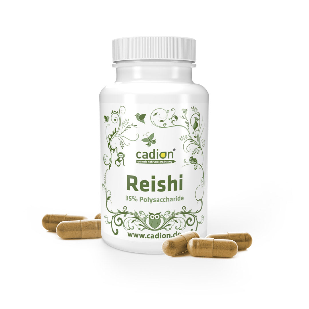 Reishi - Vitalpilz