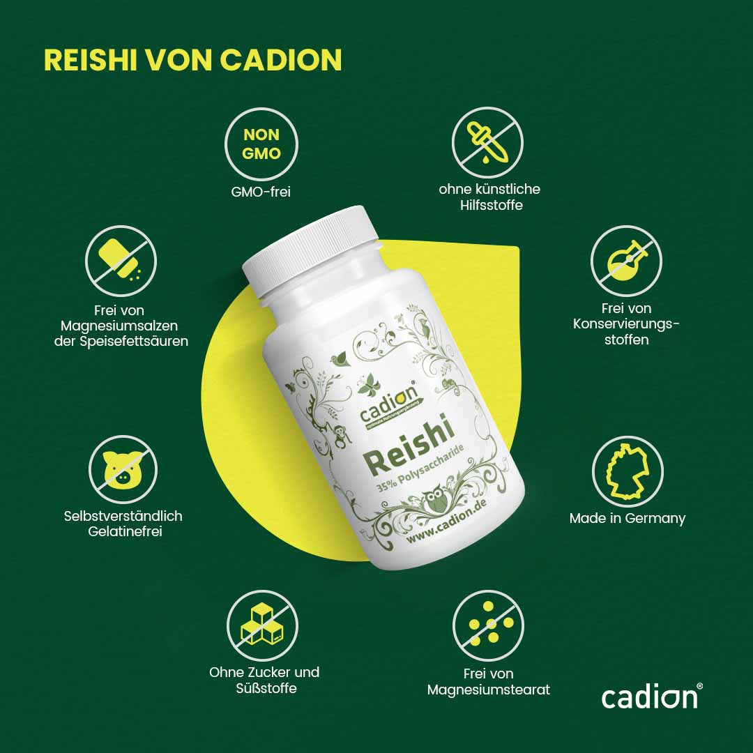 Reishi - Vitalpilz
