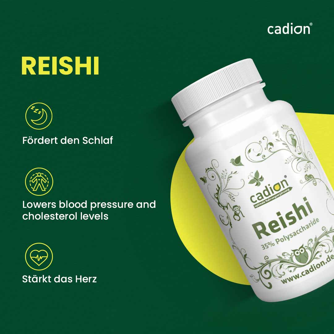Reishi - Vitalpilz