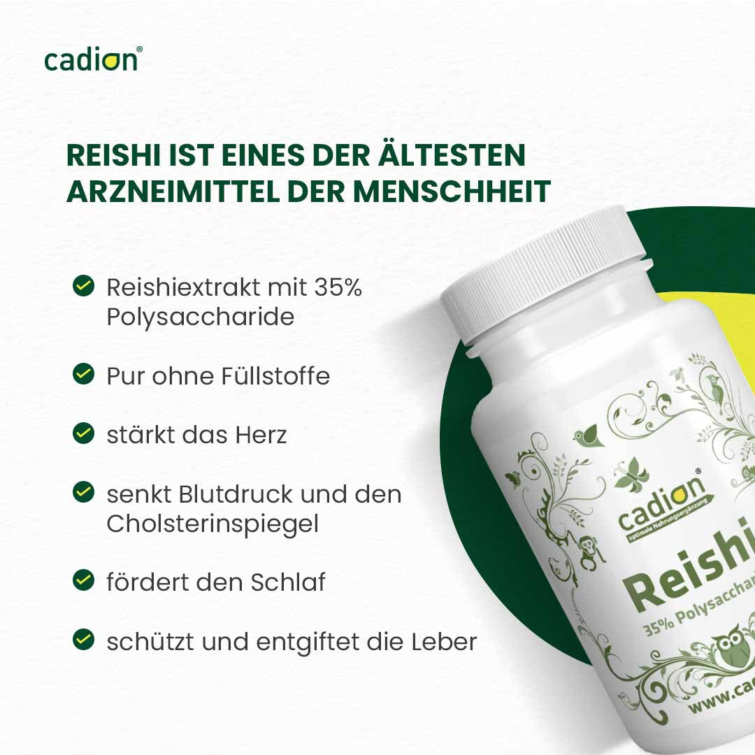 Reishi - Vitalpilz