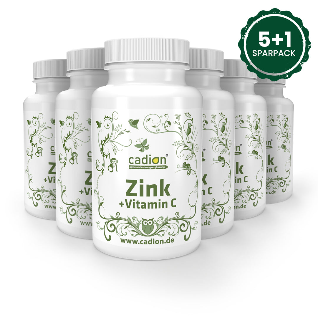Zink+ Vitamin C 5+1 Sparpack