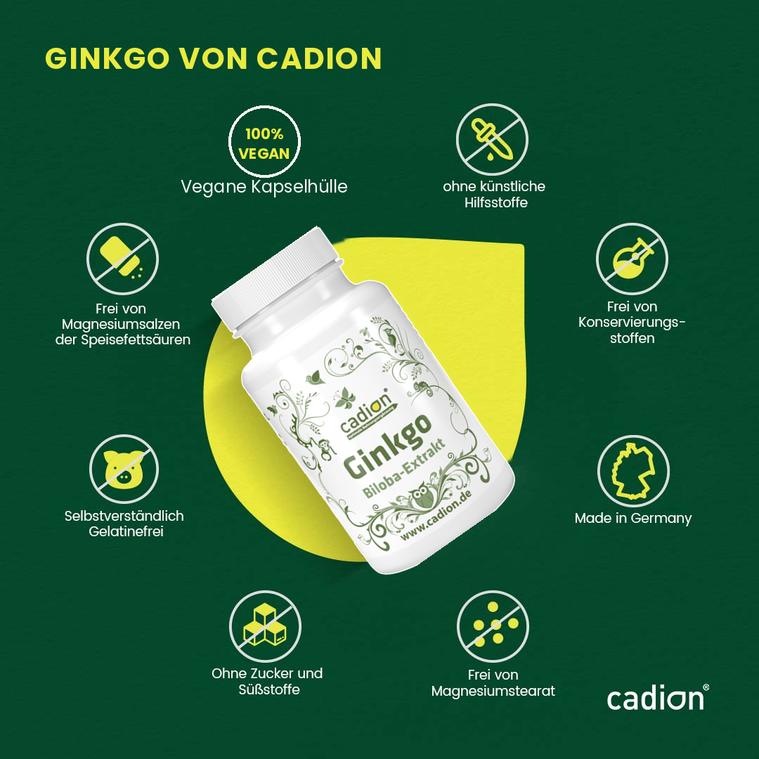 Ginkgo Biloba-Extrakt – 90 Kapseln