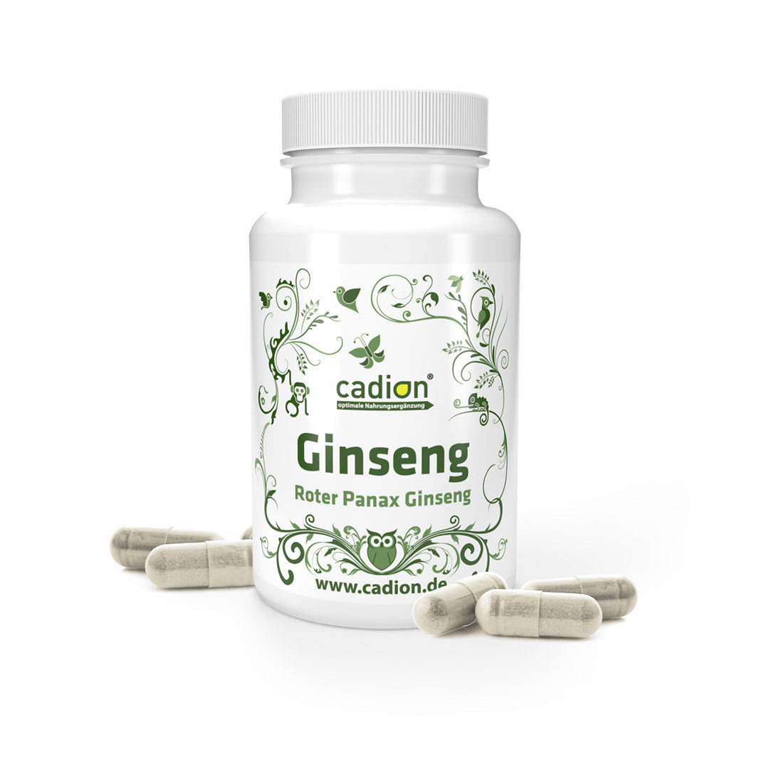 Ginseng Roter Panax Ginseng