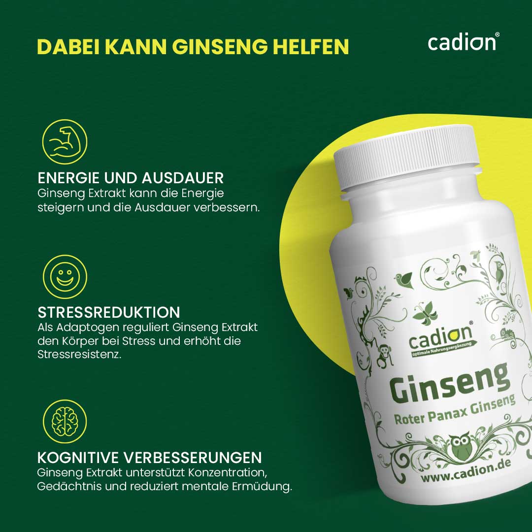 Ginseng Roter Panax Ginseng