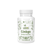 Ginkgo Biloba-Extrakt – 90 Kapseln