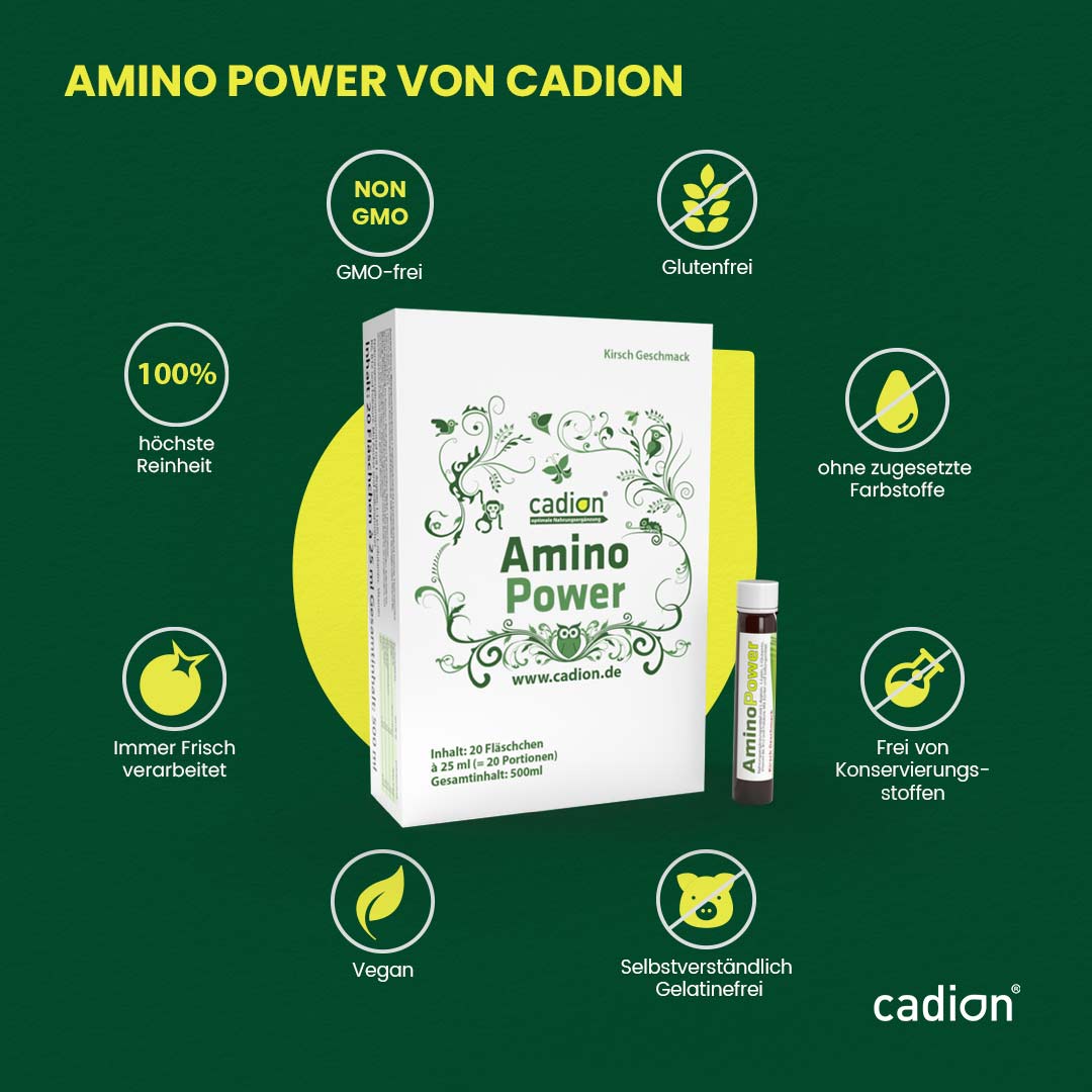 Amino Power Trinkampullen 5+1 Sparpack