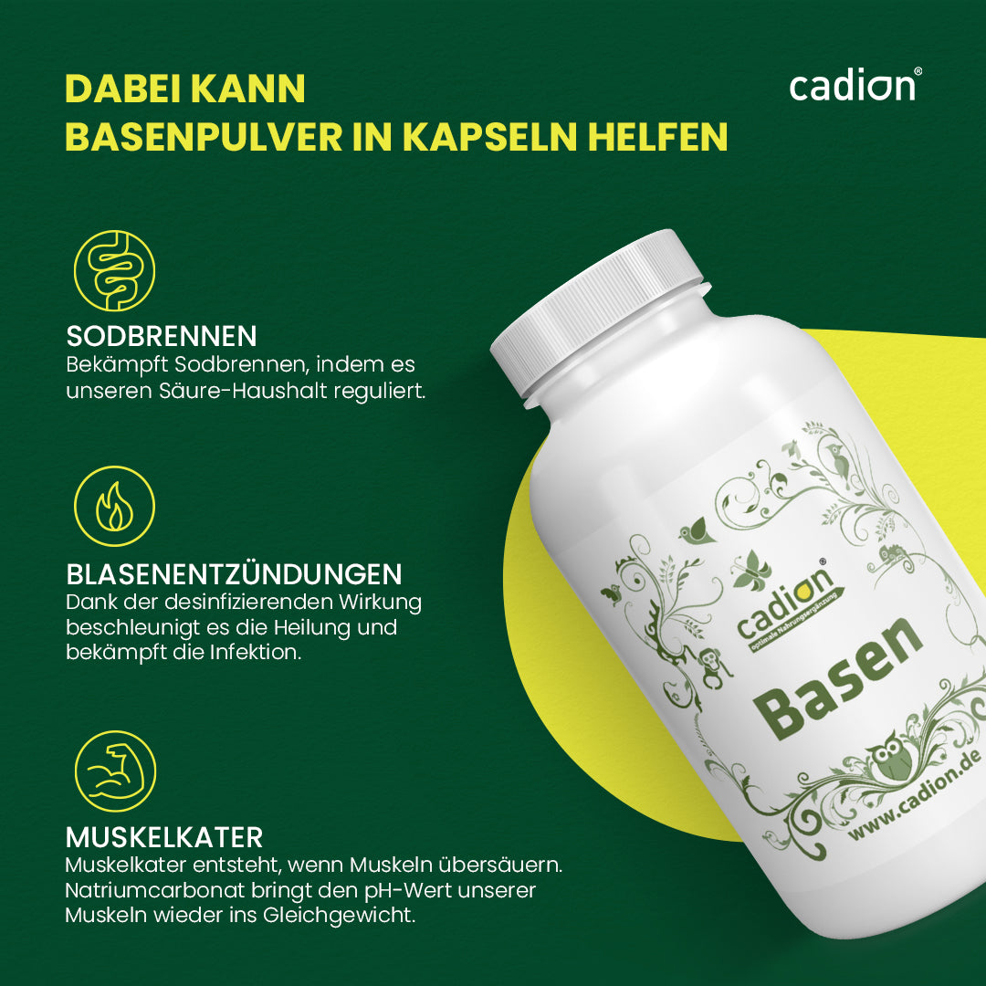 Basenkapseln (90 Stück)