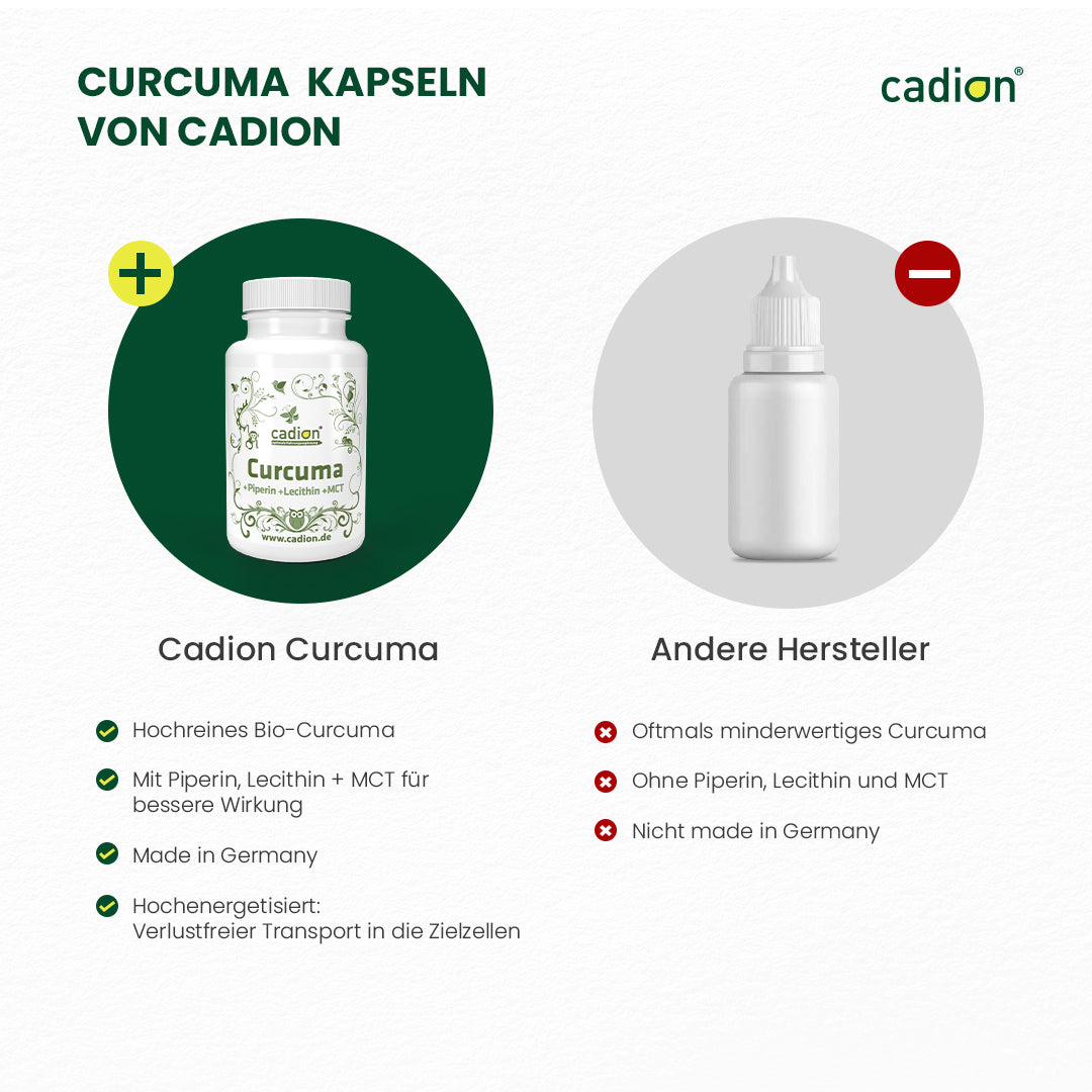 Curcuma (80 Stück)