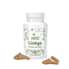 Ginkgo Biloba-Extrakt – 90 Kapseln