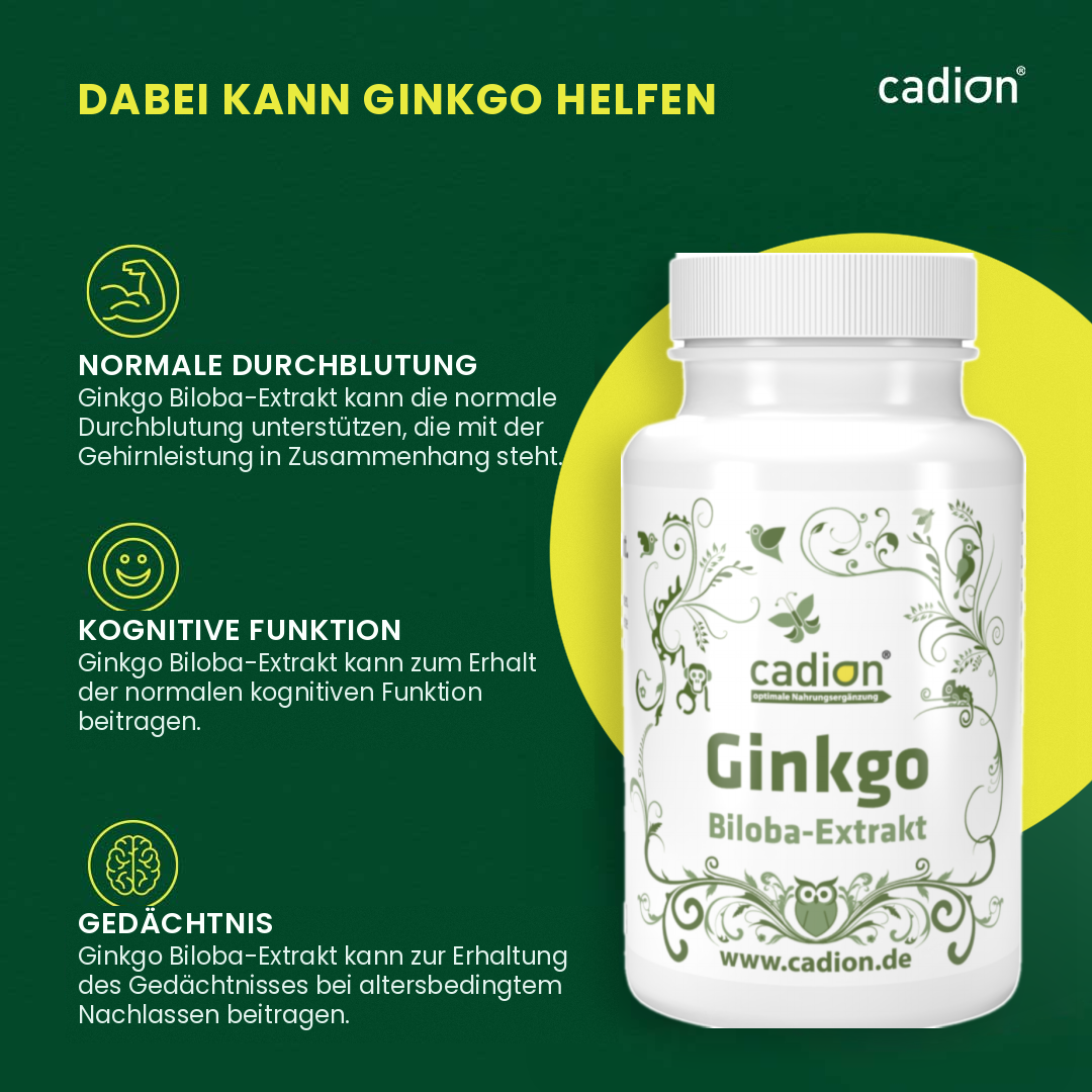 Ginkgo Biloba-Extrakt – 90 Kapseln