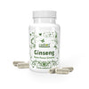Ginseng Roter Panax Ginseng
