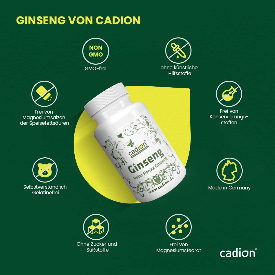 Ginseng Roter Panax Ginseng