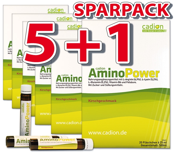 Amino Power (6 Pckg. je 20 Trinkampullen zu 25ml)